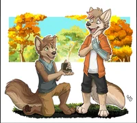gay furry proposal 