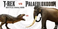 t-rex vs palaeo