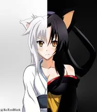 Koneko and Kuroka 