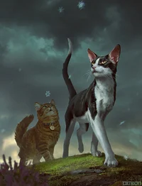 Warrior cats