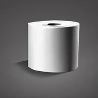 toilet paper