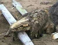 SCP-682