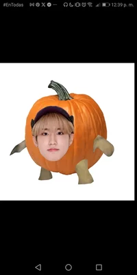 Han calabaza