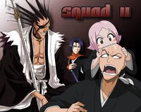 Bleach 11th Division
