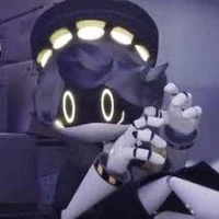 Serial Designation N