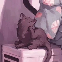 Comfort and Support