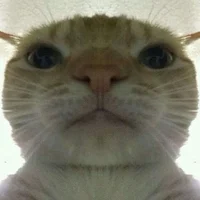 Scemer