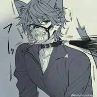 Your stubborn catboy