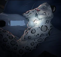 Gay furry break up