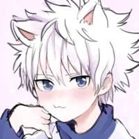 Killua Cat