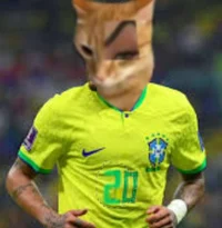 Gato Ceja