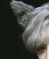 werewolf bangchan