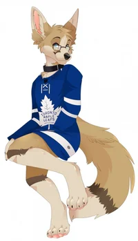 Soccer furry
