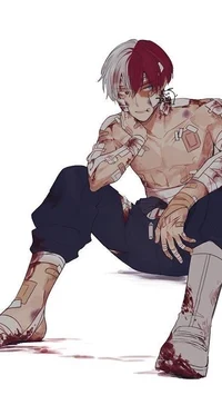 Shoto todoroki 