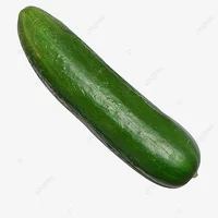 ogyrech cucumber
