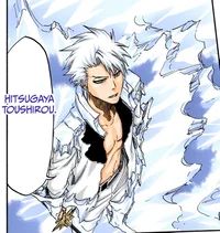 Toshiro Hitsugaya