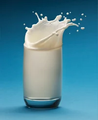 Milk