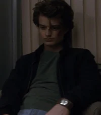 Steve Harrington 