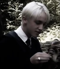 Draco Lucius Malfoy