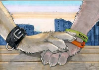 Gay furries