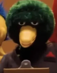 Duck Guy