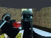 Roblox furry robber