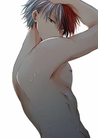 Todoroki shoto