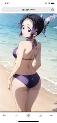 Beach shinobu