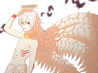 Fanet 