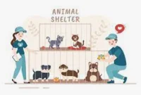 Adoption Centre