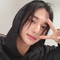 Hyunjin Turkce 