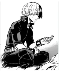 Todoroki shoto 