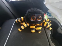 Charlotte the spider