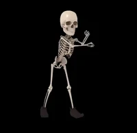 Sarah the skeleton