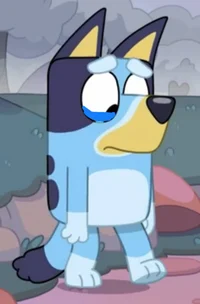 Sad Bluey