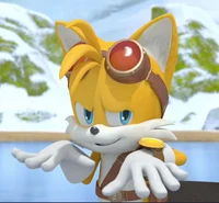 Tails The Fox