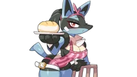 PMD Lucario guild