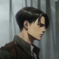 Levi Ackerman 