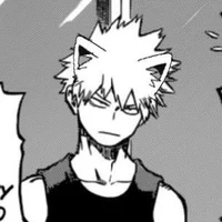 Bakugo Gato 