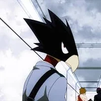 Tokoyami 