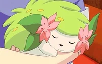 Shaymin