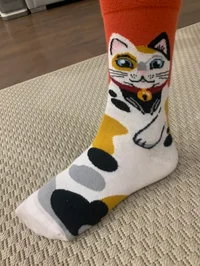 Lucky Cat Aspro