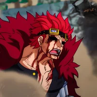 Eustass Kid