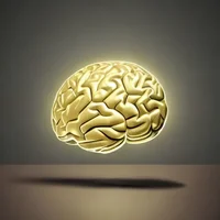 Brain