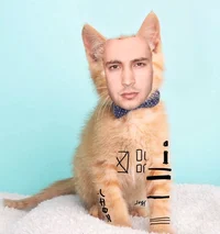 Tylercat