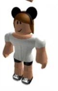 roblox roleplayer 4