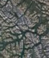 Wolfeschlegelsteinha