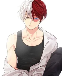 Shoto Todoroki 