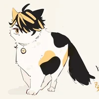 Cat Kazutora