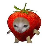 Frutilla cat